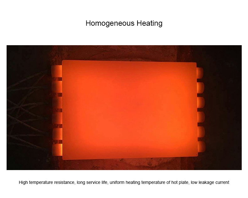 4.Homogeneous Heating (1).jpg